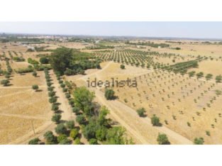 Terreno en venta , estrada