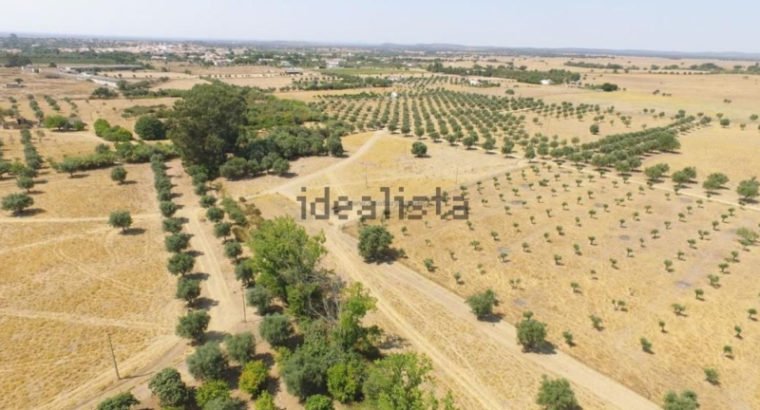 Terreno en venta , estrada