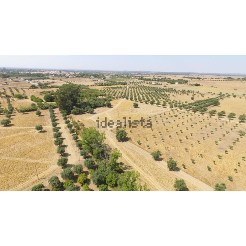 Terreno en venta , estrada