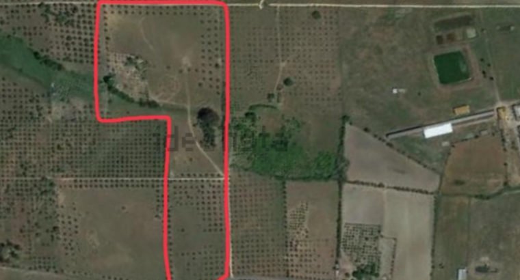 Terreno en venta , estrada