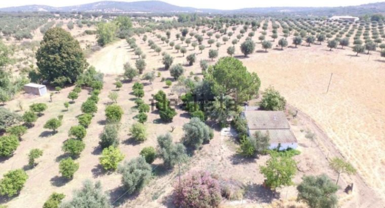 Terreno en venta , estrada