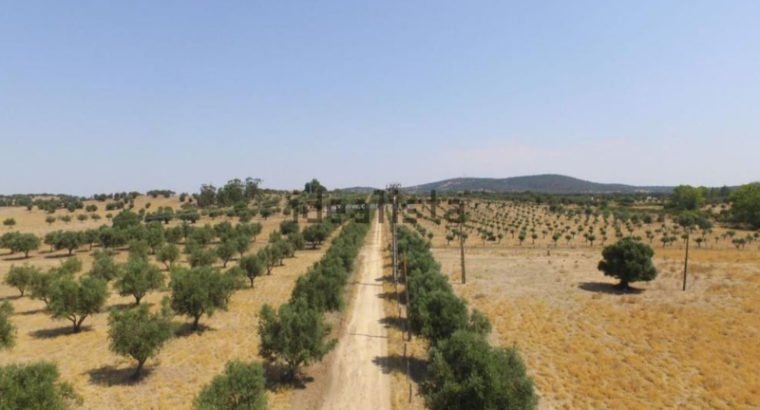 Terreno en venta , estrada