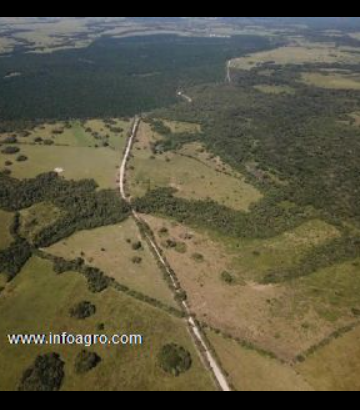 Se vende 102 ha de tierra agrícola en cabuyaro