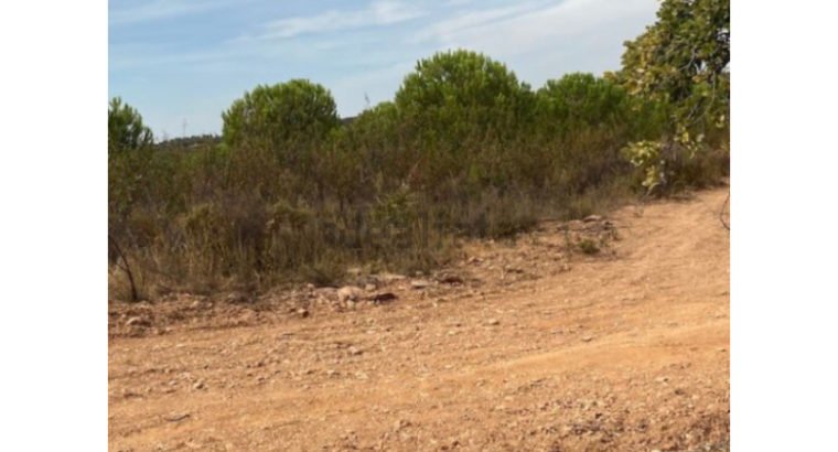 Terreno en venta en estrada nacional 255