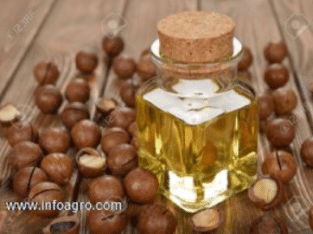 Se vende aceite de nuez de macadamia