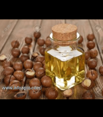 Se vende aceite de nuez de macadamia