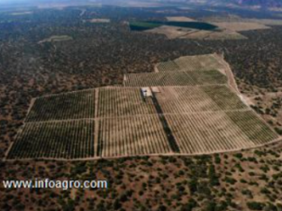 Se vende chacra en el valle de olmos