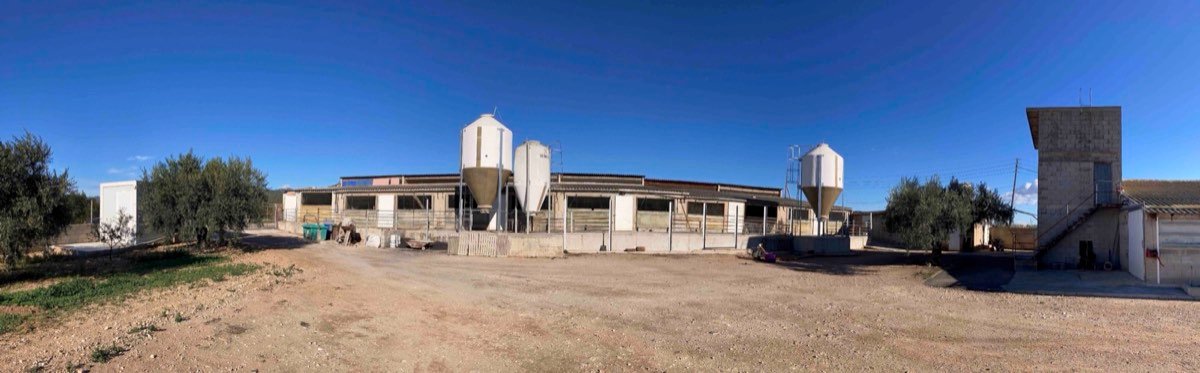 Granja cerdos 225.000€