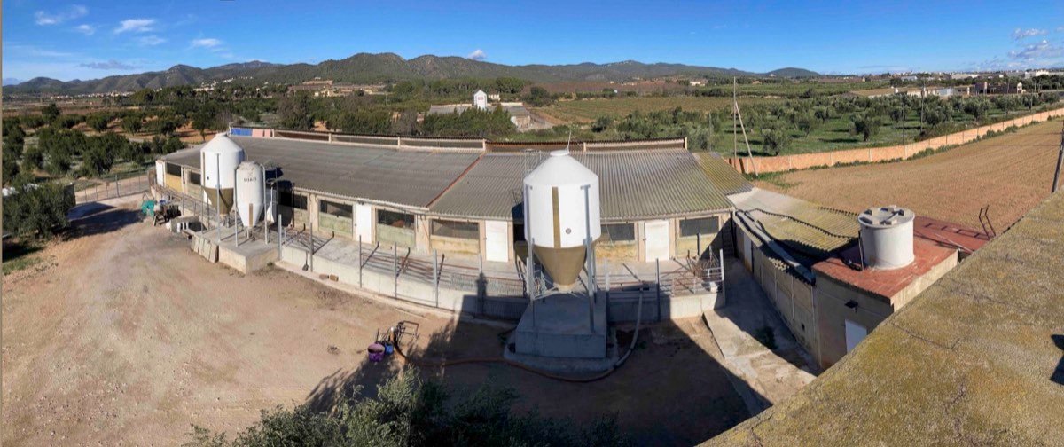 Granja cerdos 225.000€