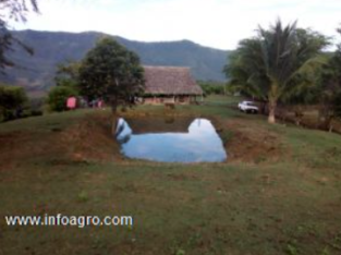 Se vende terreno agricola con proyectos