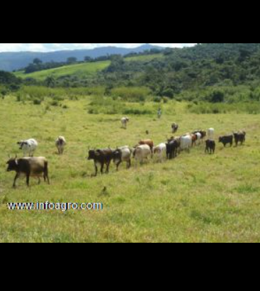 Se vende terreno agricola con proyectos