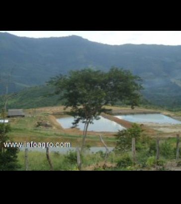 Se vende terreno agricola con proyectos