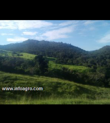 Se vende terreno agricola con proyectos