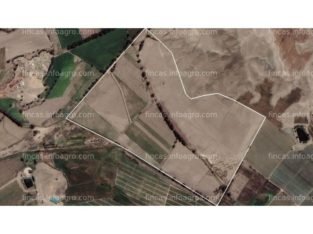 A la venta Fundo en Irrigación San Felipe – Véguet