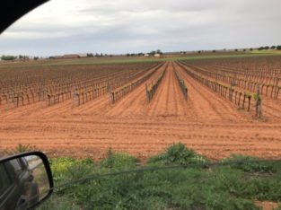 FINCA EN CARRETERA SOCUELLAMOS A LAS MESAS