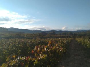 FINCA DO MONTSANT EN EL PRIORAT