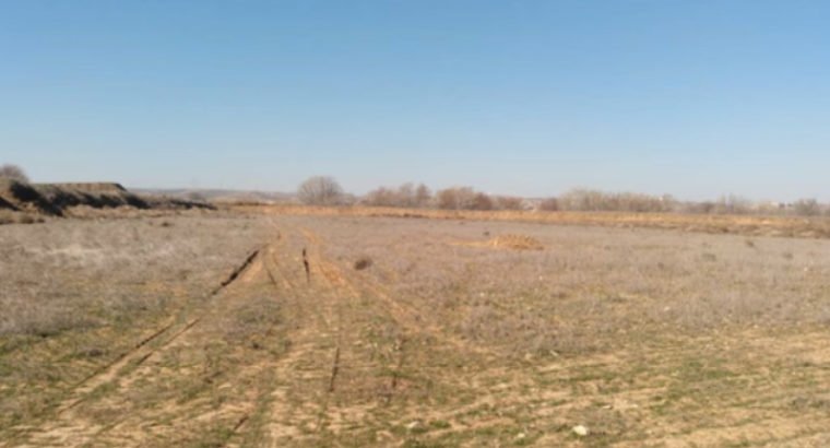 FINCA EN SAN MARTÍN DE LA VEGA