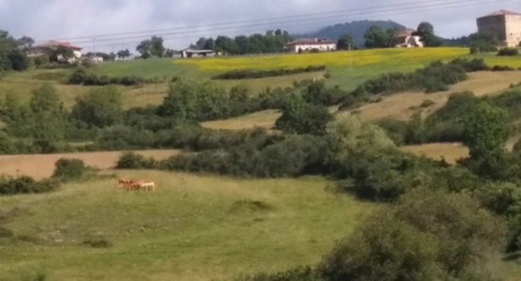 TERRENO URBANO, VIVIENDA, CASA RURAL