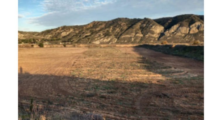 FINCA EN SAN MARTÍN DE LA VEGA