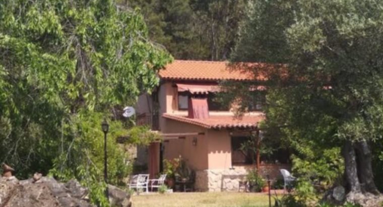 VENDO PRADO EN LLOSA NUEVA, VILLAVICIOSA