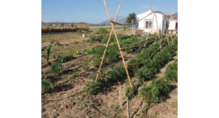 HUERTO CERCADO CON FINCA RÚSTICA