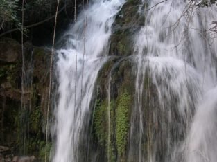 Complejo Rural Arroyo Frío