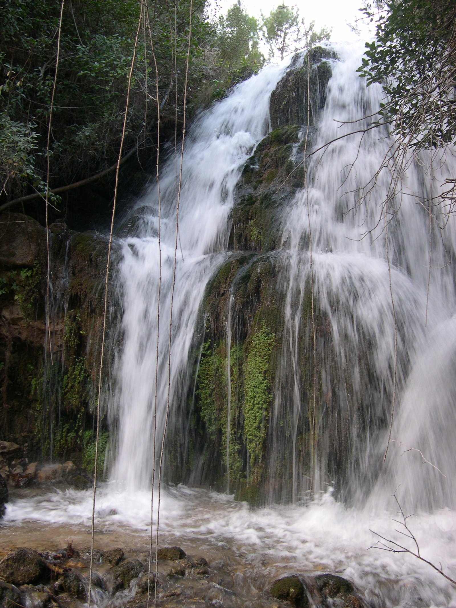 Complejo Rural Arroyo Frío