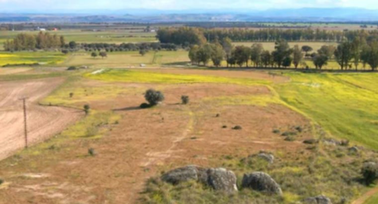 TERREMO EN VENTA EN TALAVERA, GAMONAL