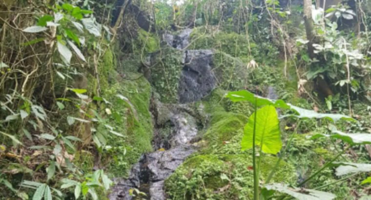 Vendo Finca Clima Templado Cerca De Bogotá