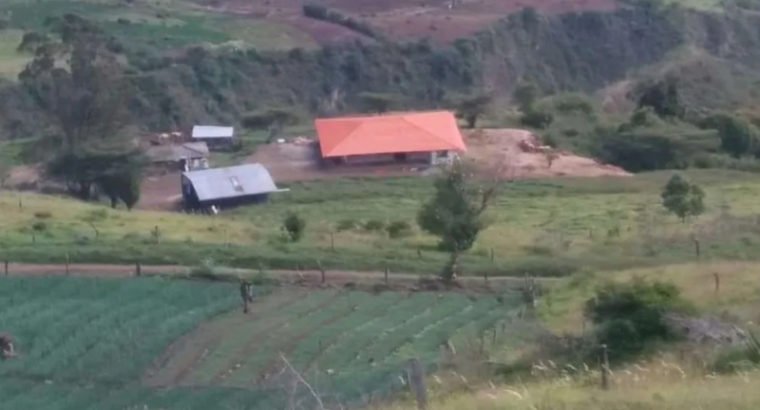 Se Vende Finca Ganadera Y Agricola Palmira Valle