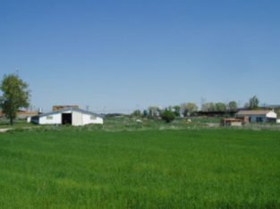 FINCA-PARCELA CON CASA, AGUA Y LUZ