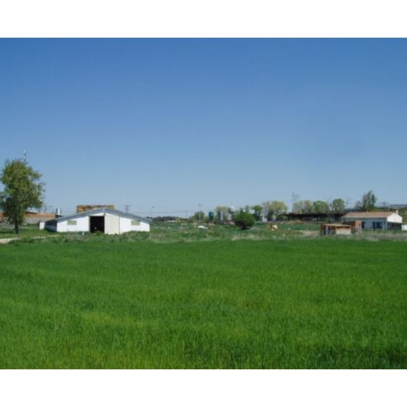 FINCA-PARCELA CON CASA, AGUA Y LUZ