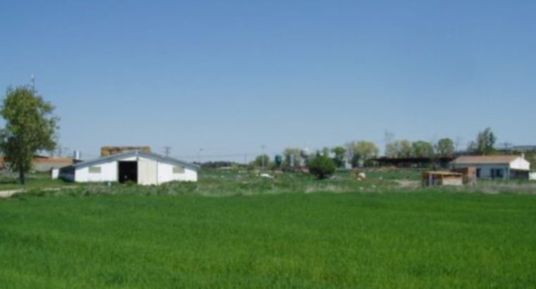 FINCA-PARCELA CON CASA, AGUA Y LUZ