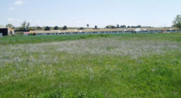 FINCA-PARCELA CON CASA, AGUA Y LUZ