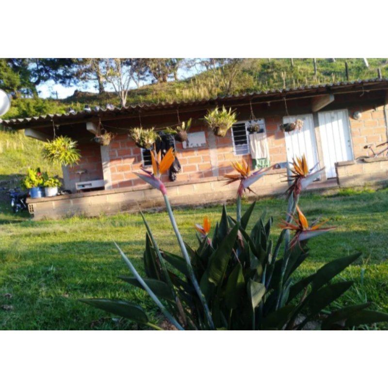 Se Vende Finca Pequeña