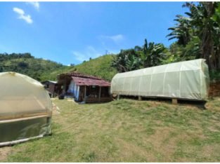 Se Vende Finca En Balboa Risaralda