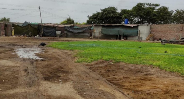 Terrenos Agricolas Sector Esquivel, Valle Chancay