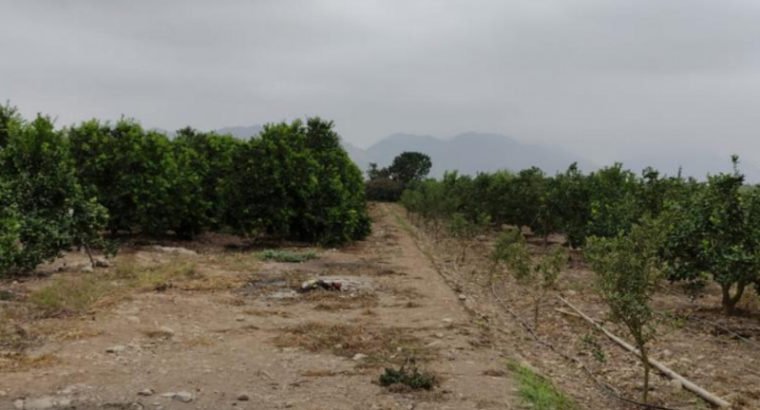 Terrenos Agricolas Sector Esquivel, Valle Chancay