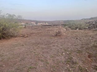 TERRENO A LA VENTA EN CARRETERA ANDALUCIA 40