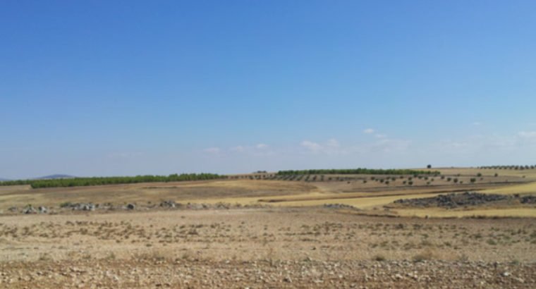 TERRENO A LA VENTA EN CARRETERA ANDALUCIA 40