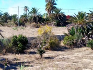 TERRENO EN ELCHE -DERRAMADOR-