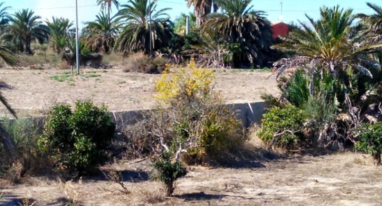 TERRENO EN ELCHE -DERRAMADOR-