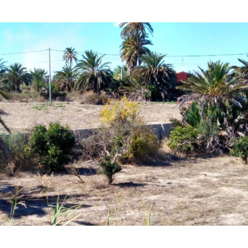 TERRENO EN ELCHE -DERRAMADOR-