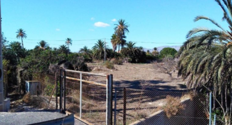 TERRENO EN ELCHE -DERRAMADOR-