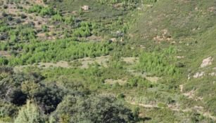 FINCA CON POZO EN ATZENETA MAESTRAT