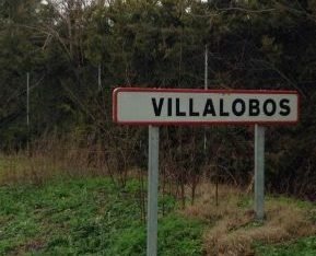 VIILALOBOS -ZAMORA – VENDO 2 PLANTIOS