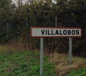 VIILALOBOS -ZAMORA – VENDO 2 PLANTIOS