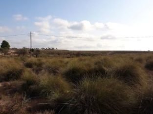 A LA VENTA FINCA EN AUTOVIA ALHAMA-CARTAGENA