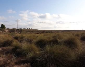 A LA VENTA FINCA EN AUTOVIA ALHAMA-CARTAGENA