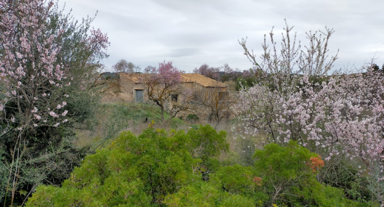 PROYECTO DE CASA RURAL